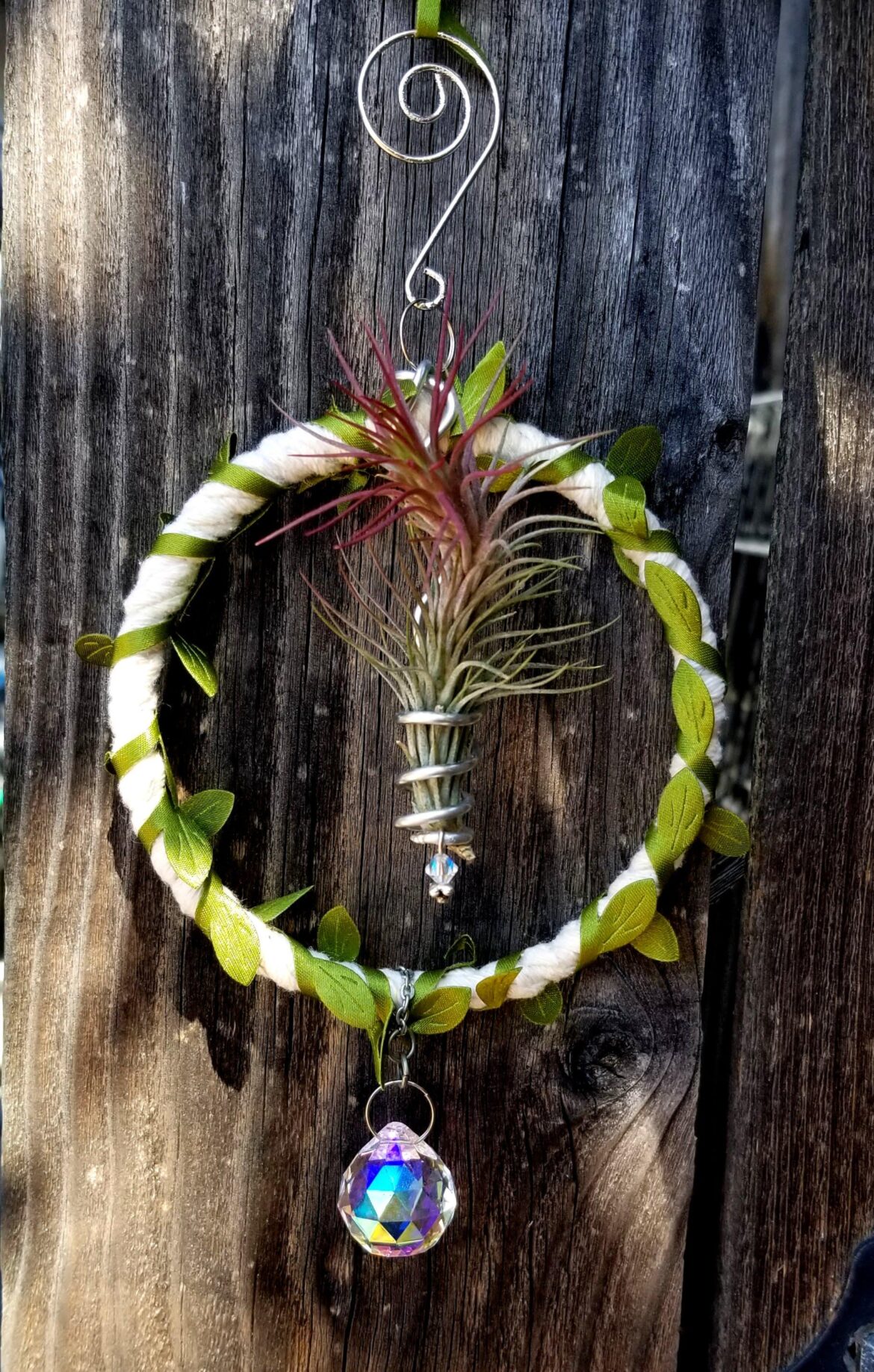 Made an airplant holder 🌿🌈