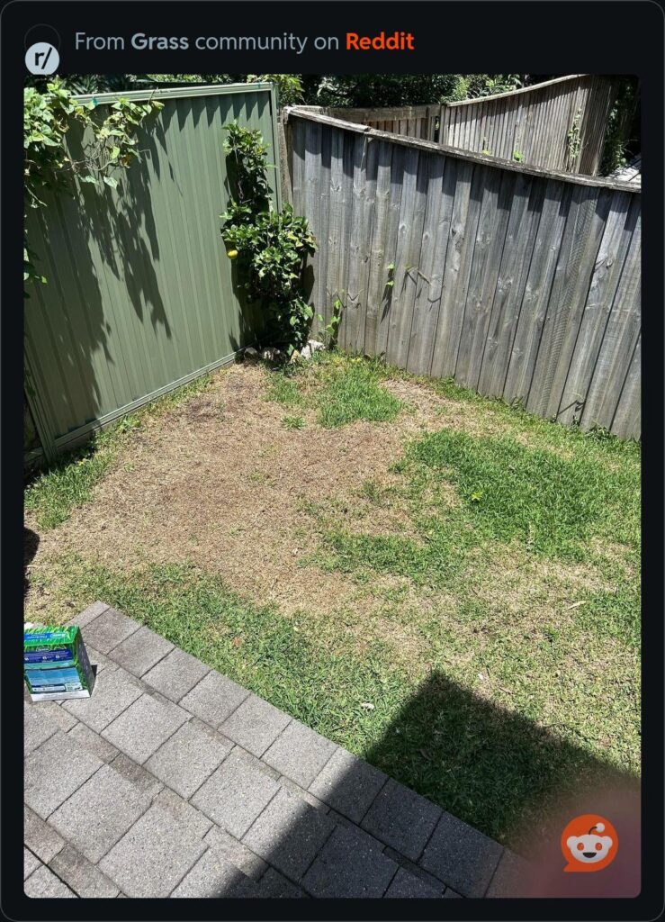 What’s the solution to this where my lawn isn’t growing at all