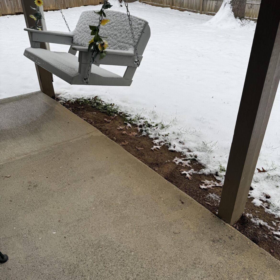 Weird strip of ground won’t grow grass