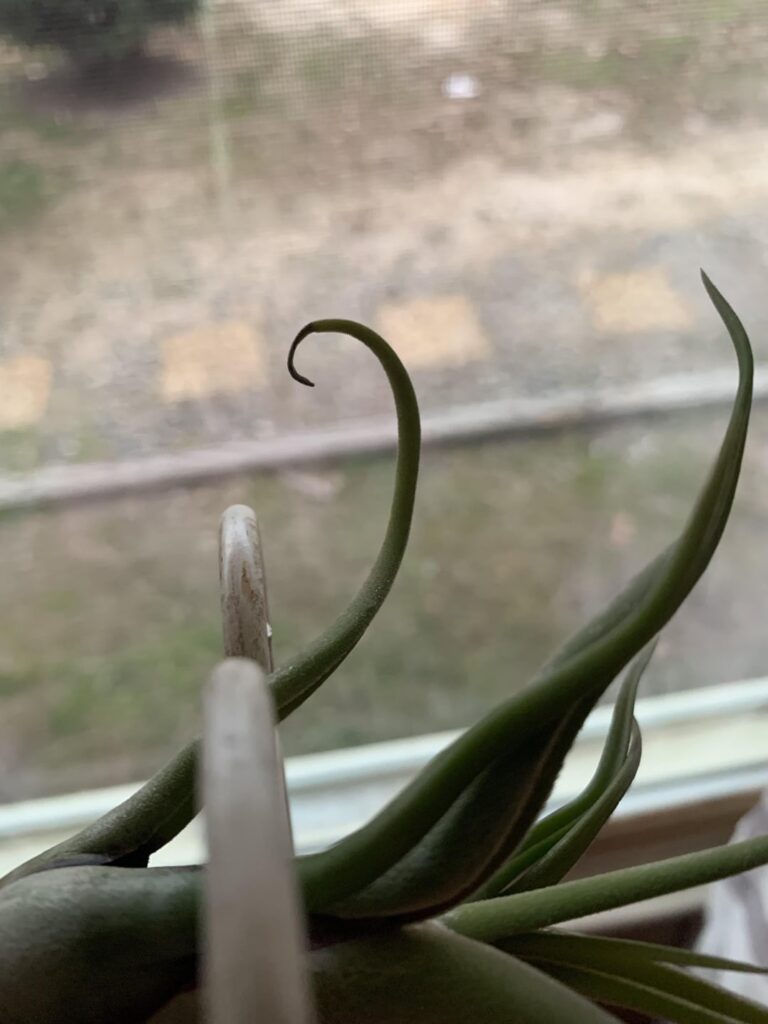 Everything ok? Everything ok?