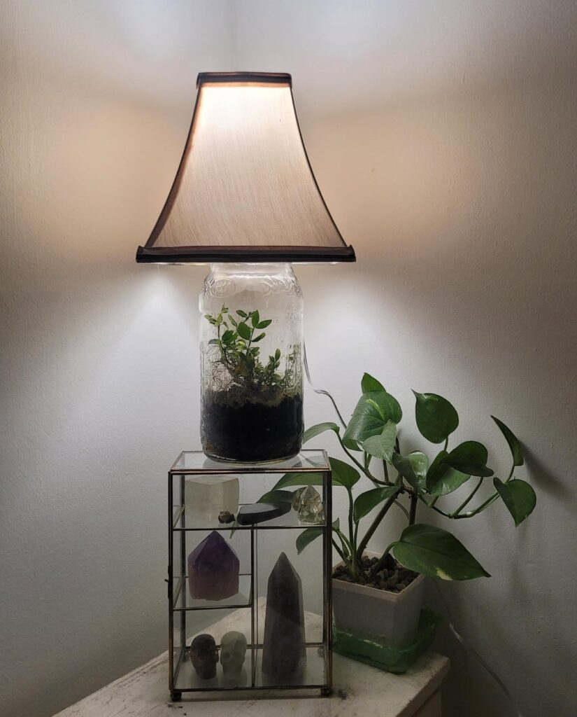 Mason jar Lamparium
