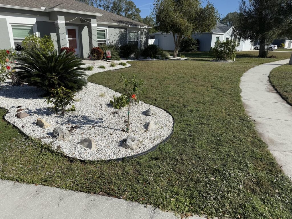 Need advice! Need advice!