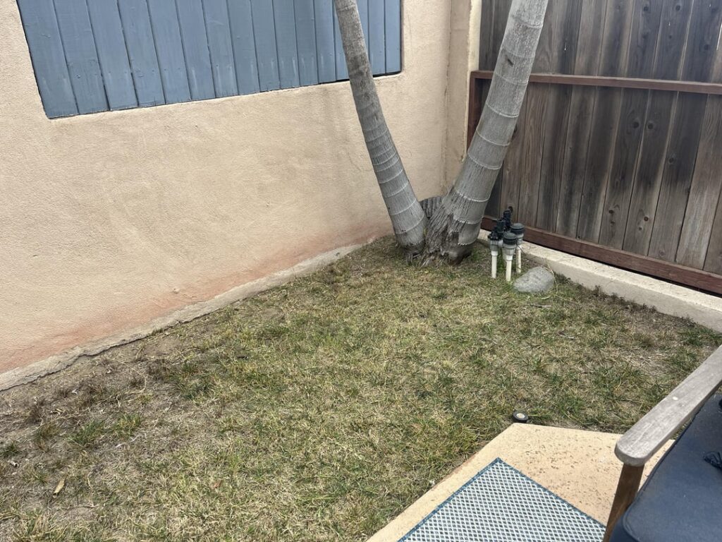Need Advice on how to fix my back yard lawn Need Advice on how to fix my back yard lawn