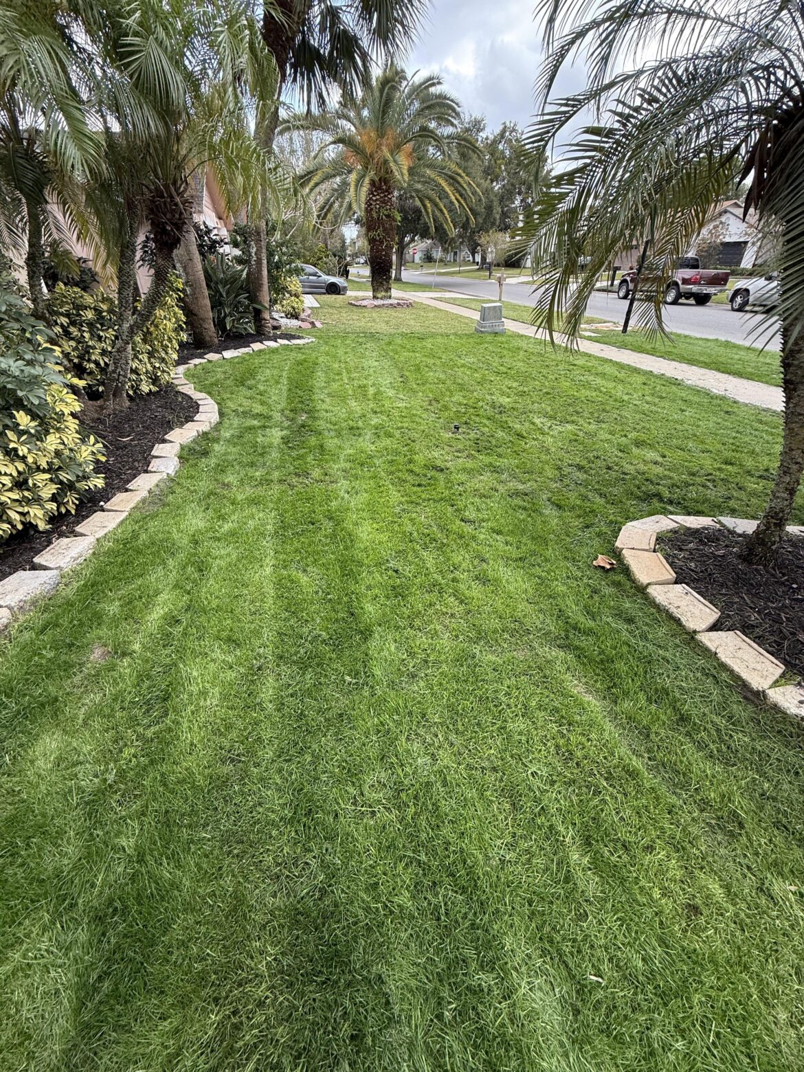 Zone 9B (CFL) SPF-30 KBG & Fireball/Hattrick PRG Zone 9B (CFL) SPF-30 KBG & Fireball/Hattrick PRG