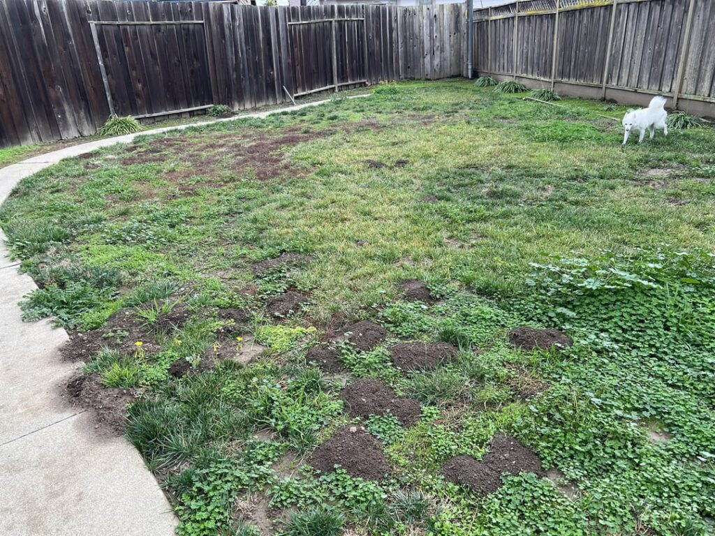 Prepping for March. Progress report. Prepping for March. Progress report.