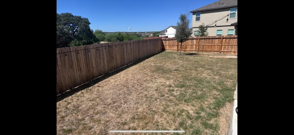 Lawn Update Lawn Update