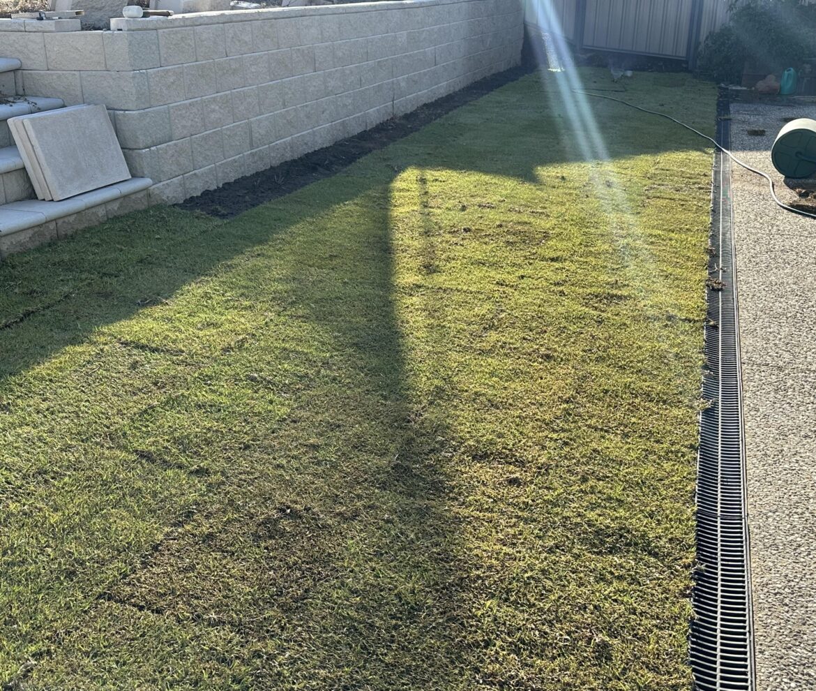 Hot & Sunny in Sth Australia today. Laid some lawn.