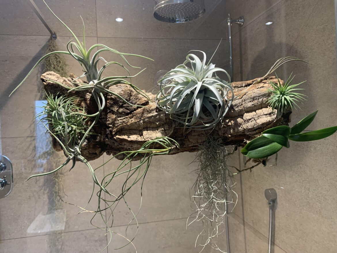 First bathroom display done!