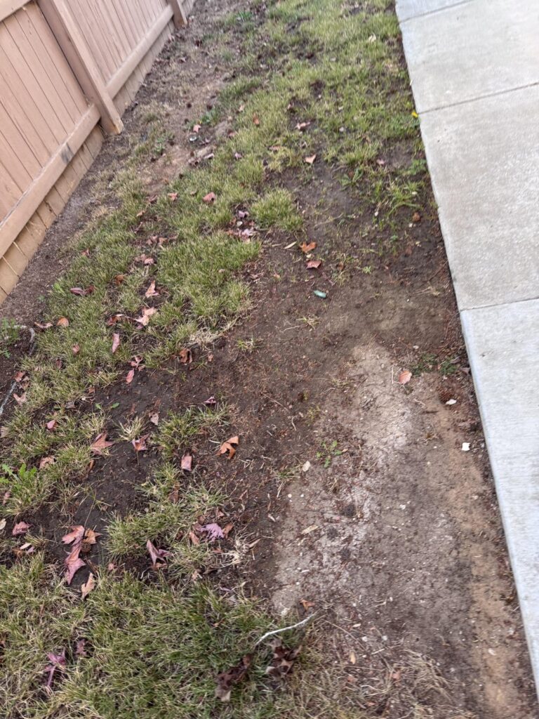 Little advice if you can.