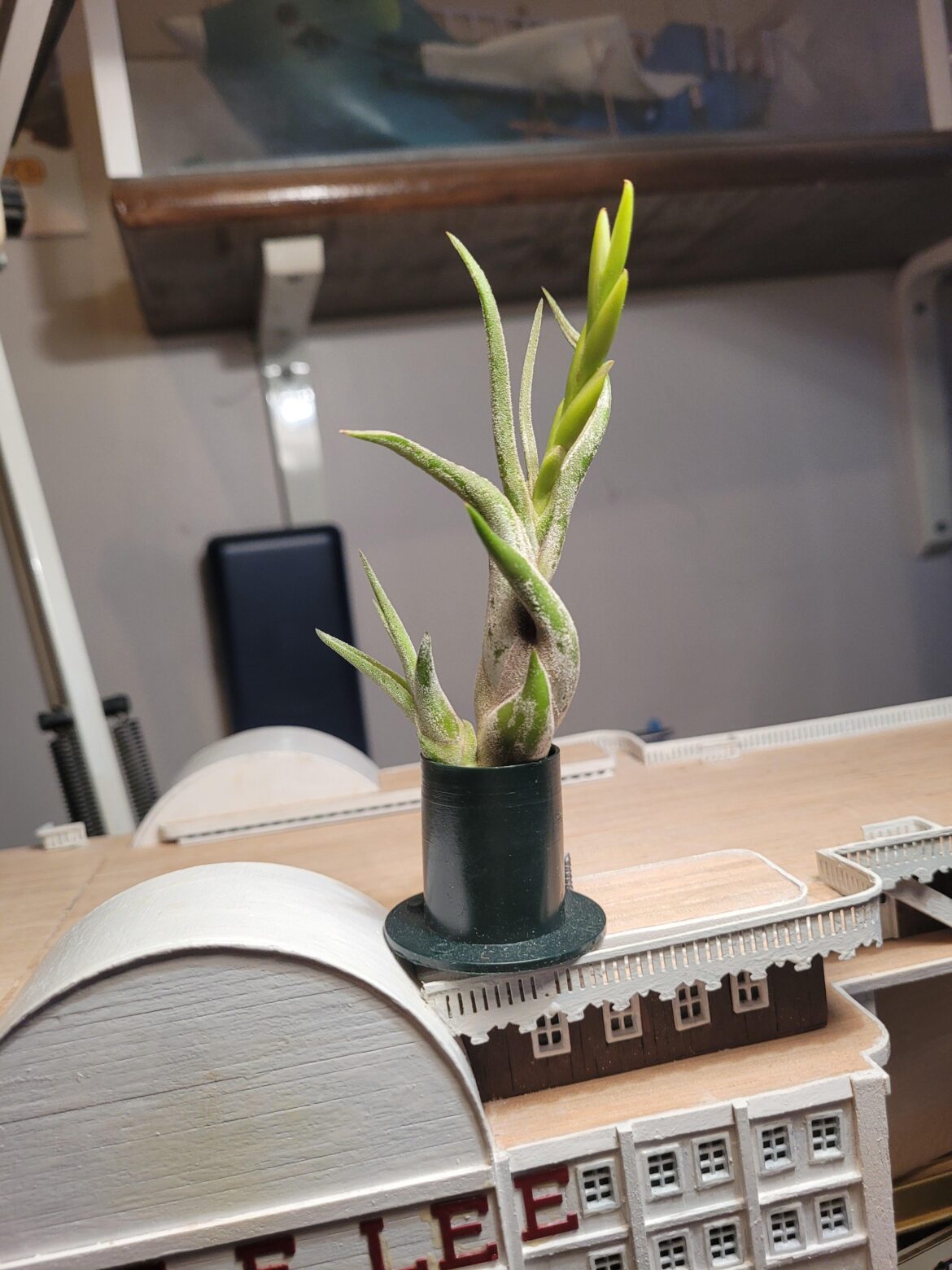 Will the flowers still open?