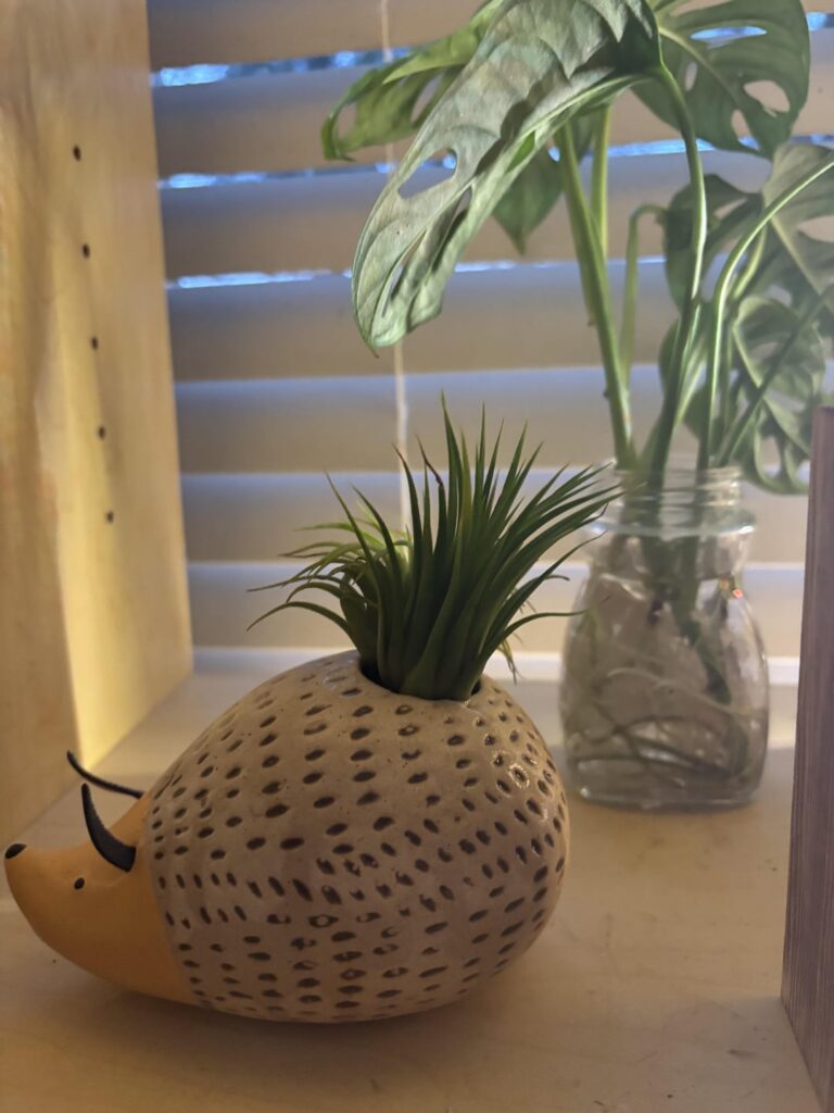 Attitude, now walk off