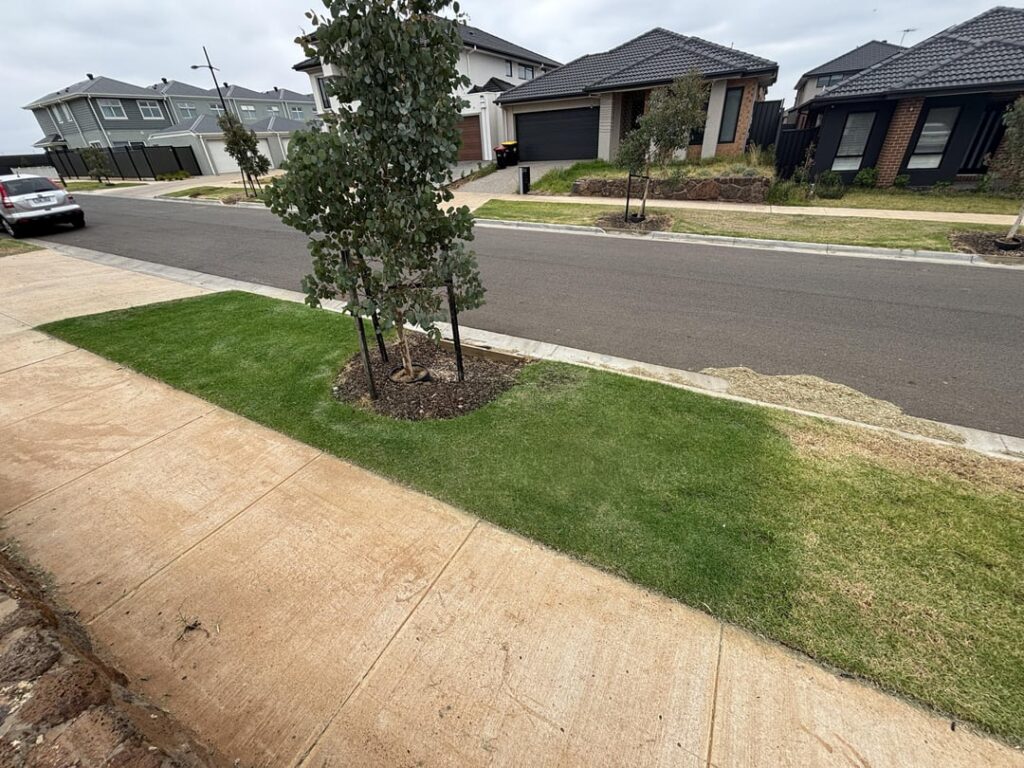 What’s My Neighbour Doing So Differently? What’s My Neighbour Doing So Differently?