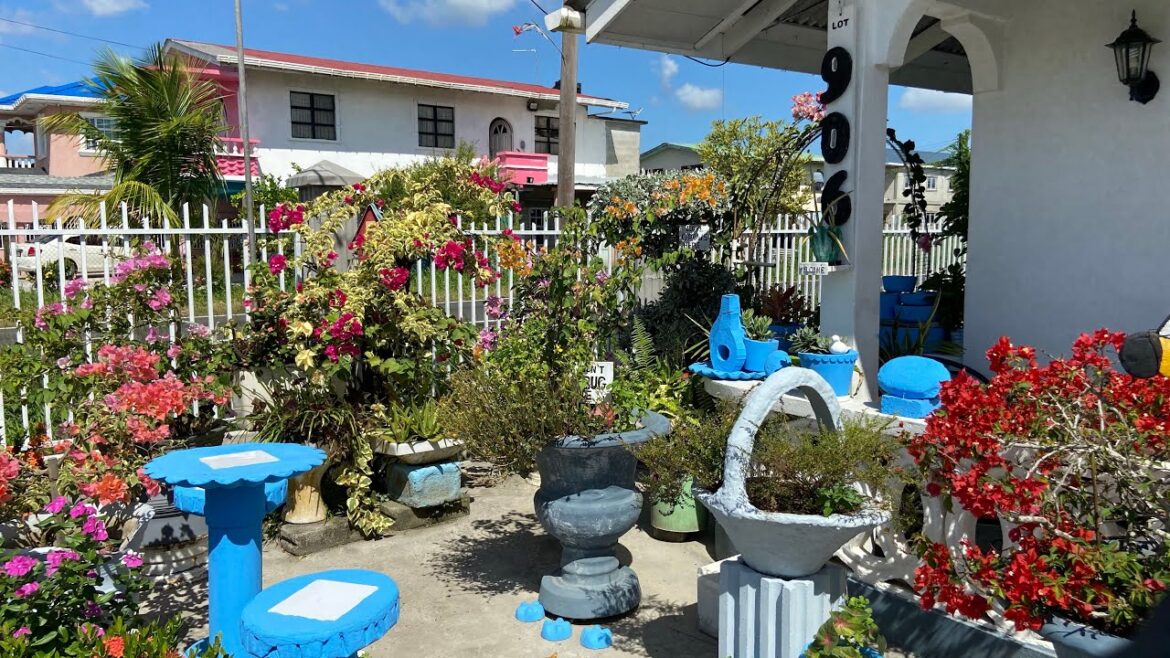 Jennell’s Front Yard  Garden tour||Tropical Garden in South America|| Bear Garden