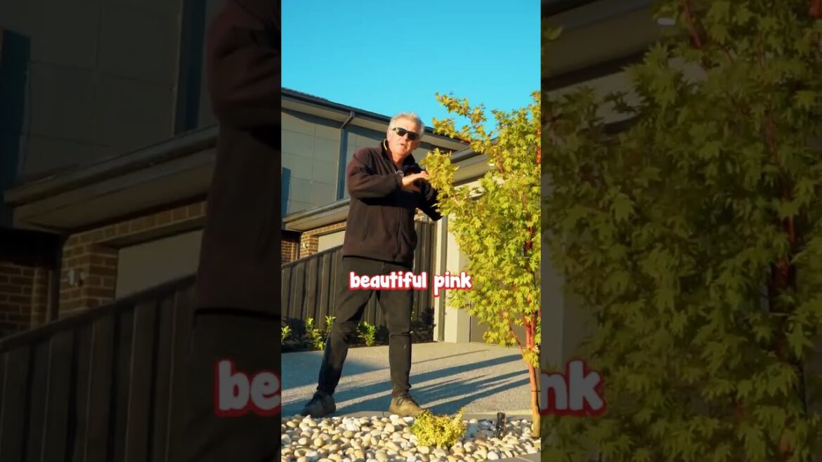 This is A Nifty Solution For a Small Triangular Garden Bed.