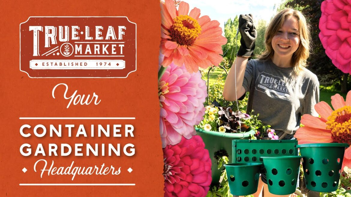 True Leaf Market – Your Container Gardening Headquarters! True Leaf Market - Your Container Gardening Headquarters!