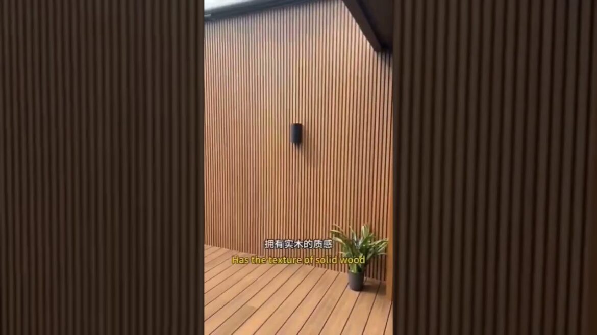 Outdoor Pivot door, entrance door, more options#entrance door#Garden supplies