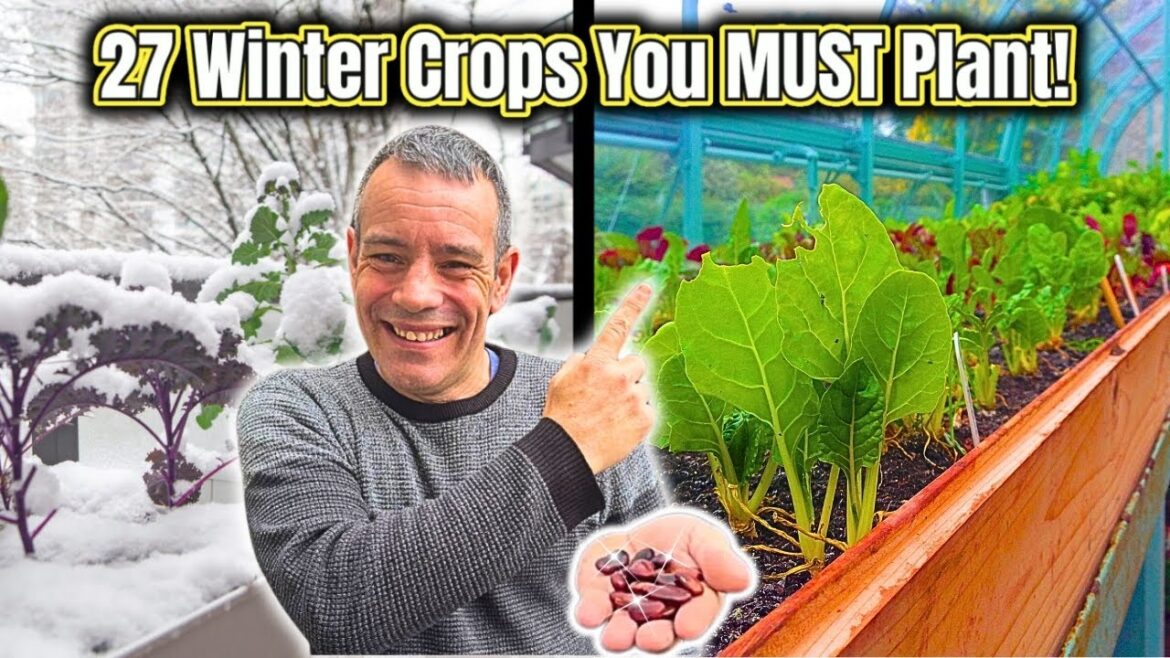 Winter's 27 Frost Proof Crops You Can't Afford to Miss!