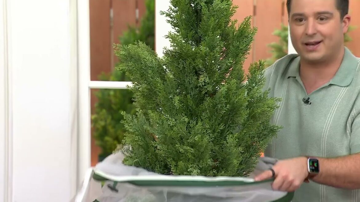 Vegepod Vegebag Self-Watering Container Garden with Zip-off Cover on QVC Vegepod Vegebag Self-Watering Container Garden with Zip-off Cover on QVC