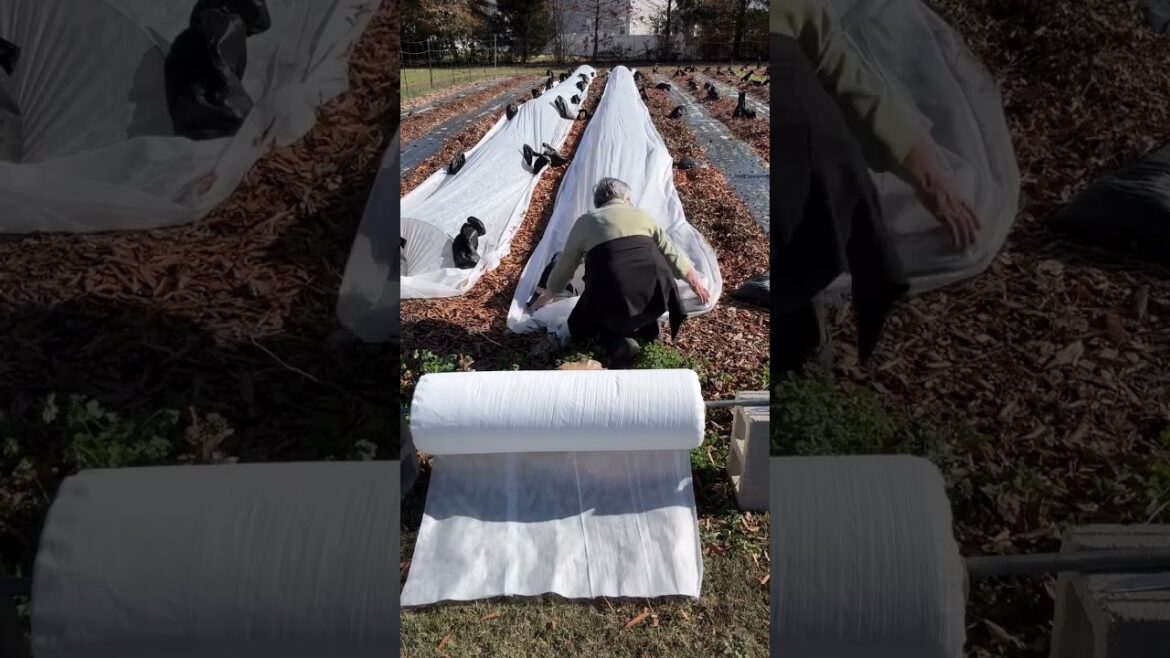 Storewide savings on all supplies! Comment SHOP for the link Storewide savings on all supplies! Comment SHOP for the link