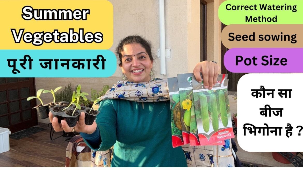 SUMMER VEGETABLES | Step by Step Process | फरवरी में लगाना है ये बीज | Complete Guide