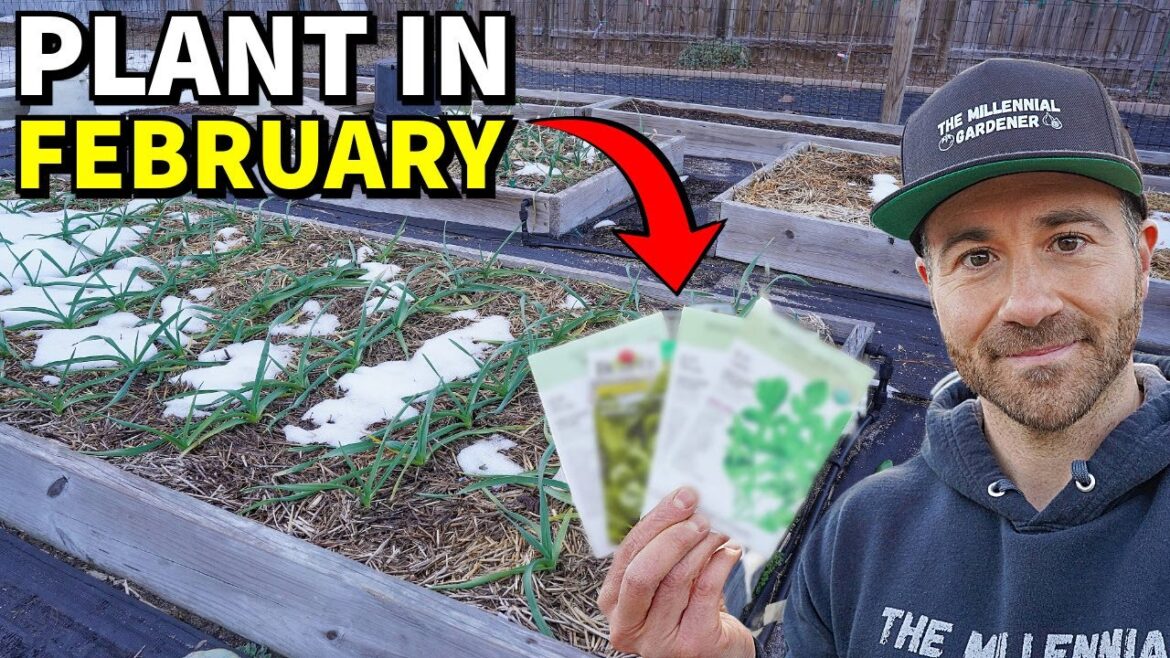 44 Veggies You Can Plant In February RIGHT NOW!