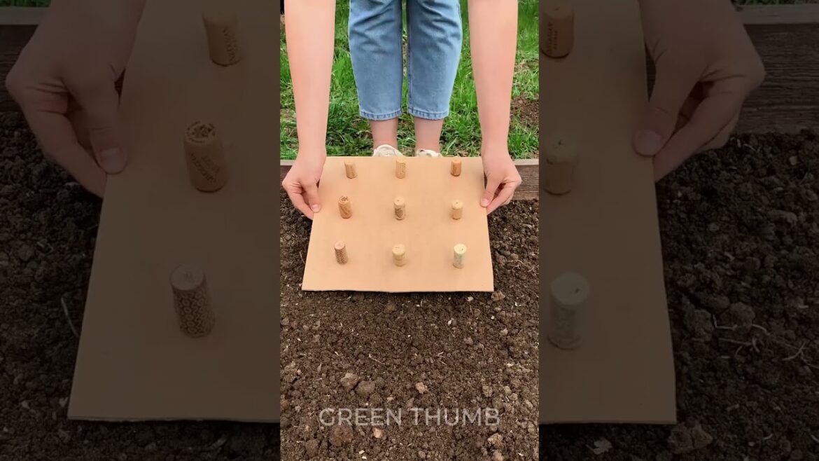 Super cool planting hacks for a lush garden 🪴 Super cool planting hacks for a lush garden 🪴