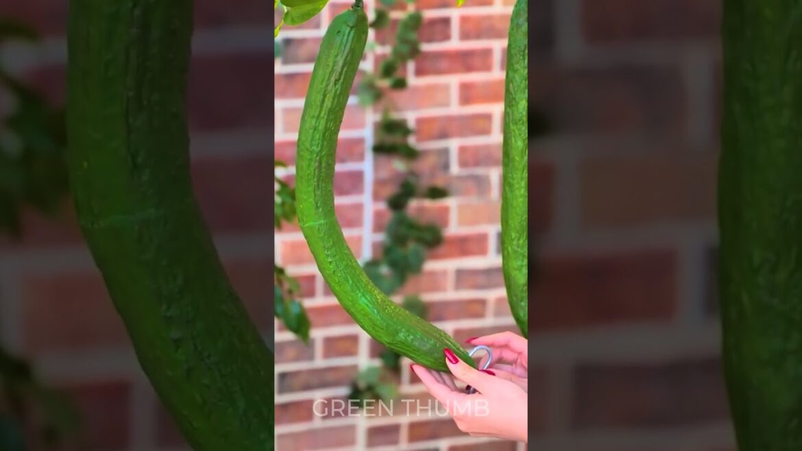 We Love Planting! We Love Gardening! We Love Harvesting! We Love Planting! We Love Gardening! We Love Harvesting!