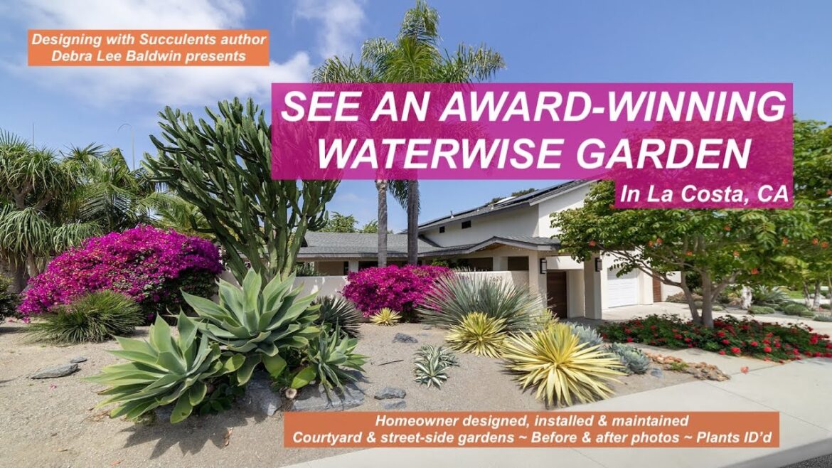 See an Award-Winning Waterwise Garden