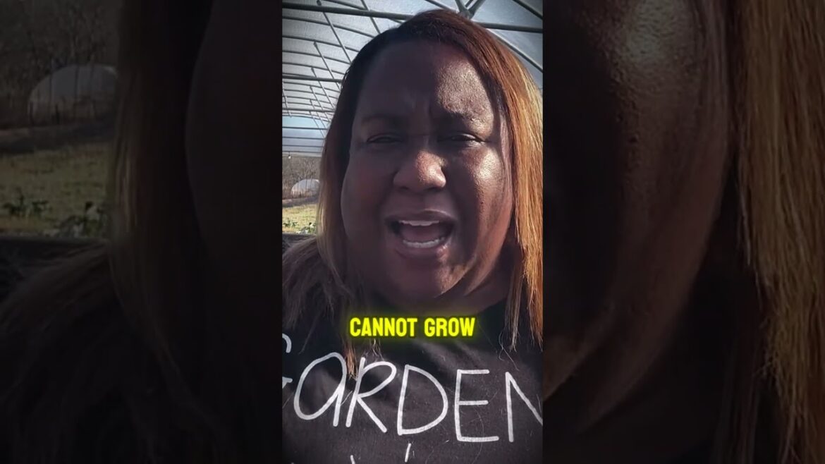 Anyone Can Grow A Garden! #gardeningtips