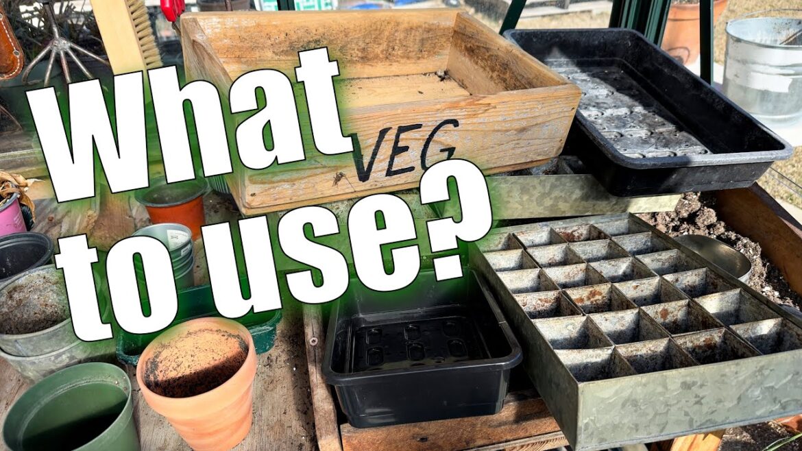 What I use to start my seeds