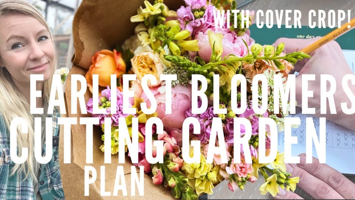 Get the EARLIEST BLOOMS with this cutting garden plan (including cover crop)!