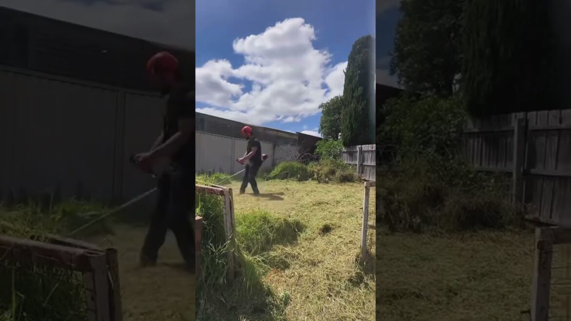 Backyard Cleanup Transformation #YardCleanUp #GardeningTips #cleanspace  #TrimmingTips #cleaning