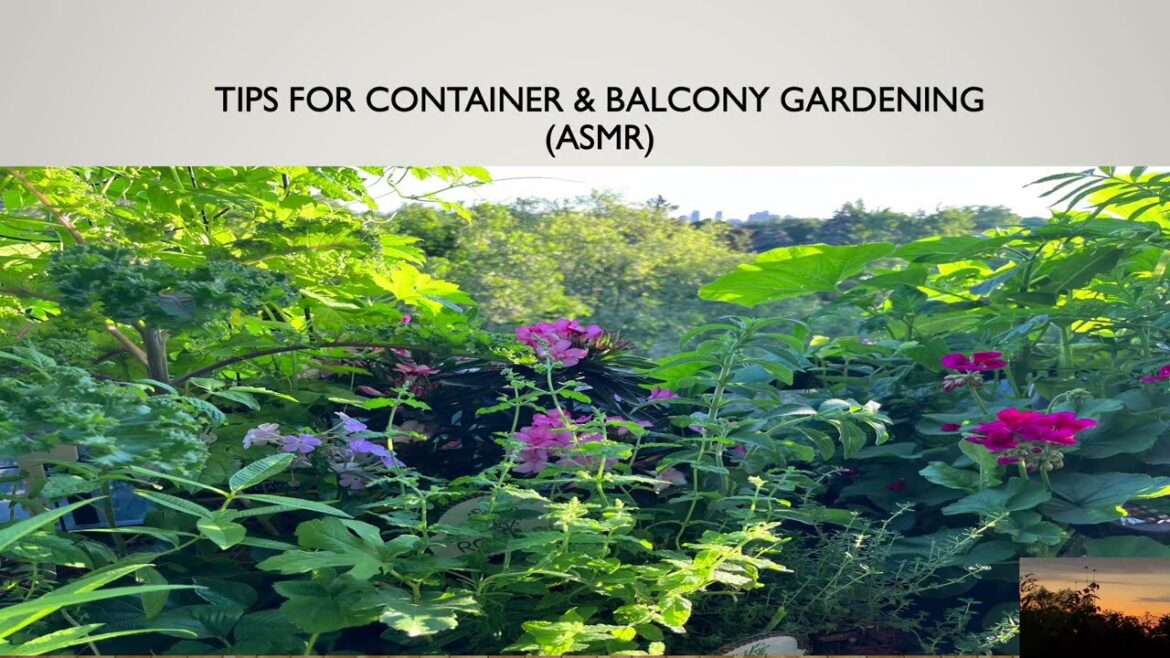 Tips For Container Gardening (ASMR)