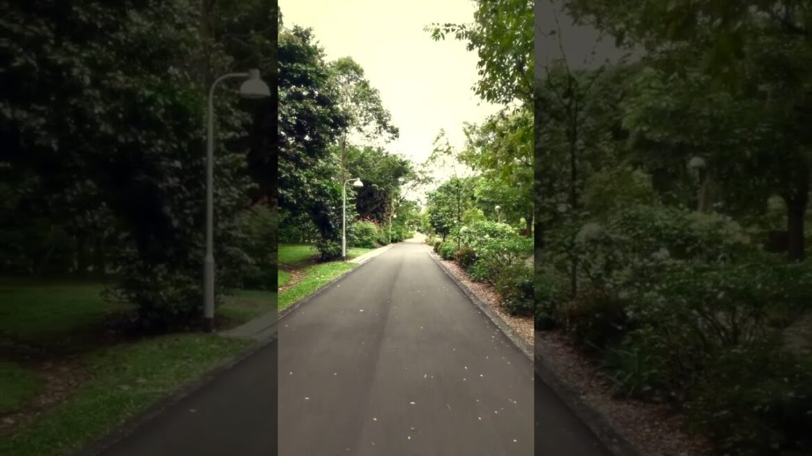 Japenese garden in SG?! #travel #sgtravel #traveltips#japanesegarden #juronglakegardens #garden Japenese garden in SG?! #travel #sgtravel #traveltips#japanesegarden #juronglakegardens #garden