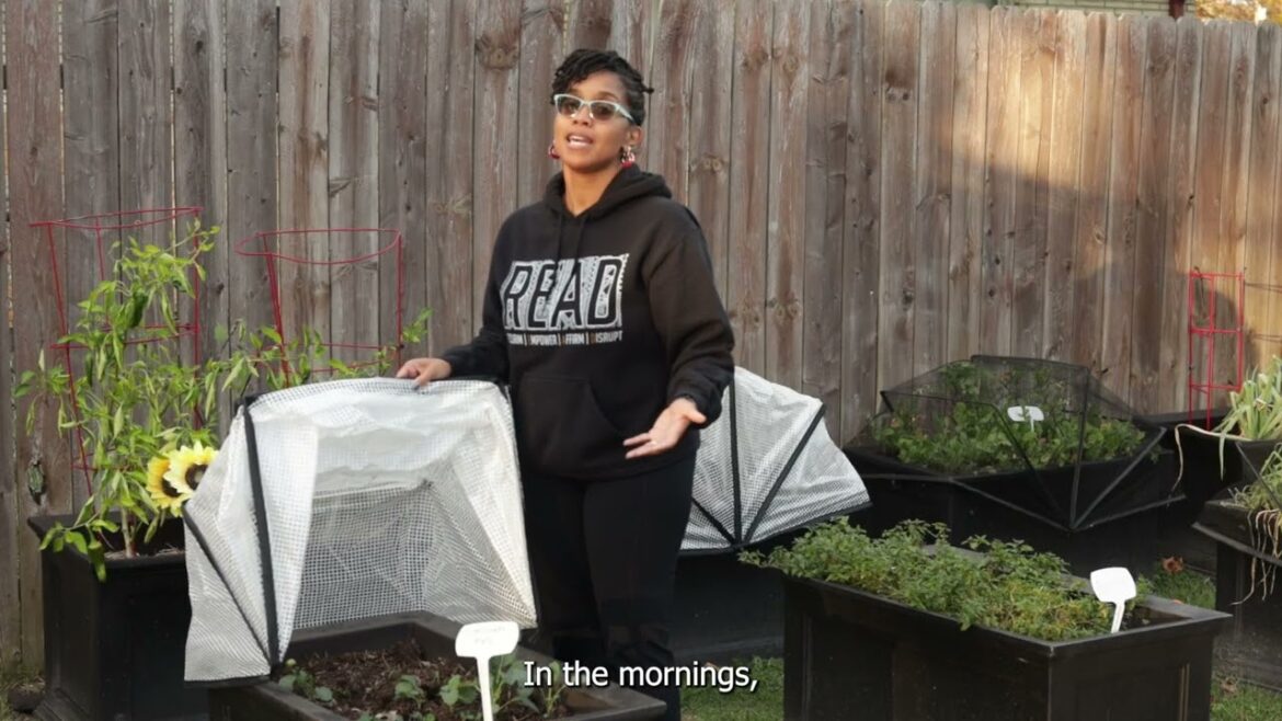 Seasonal Garden Protection