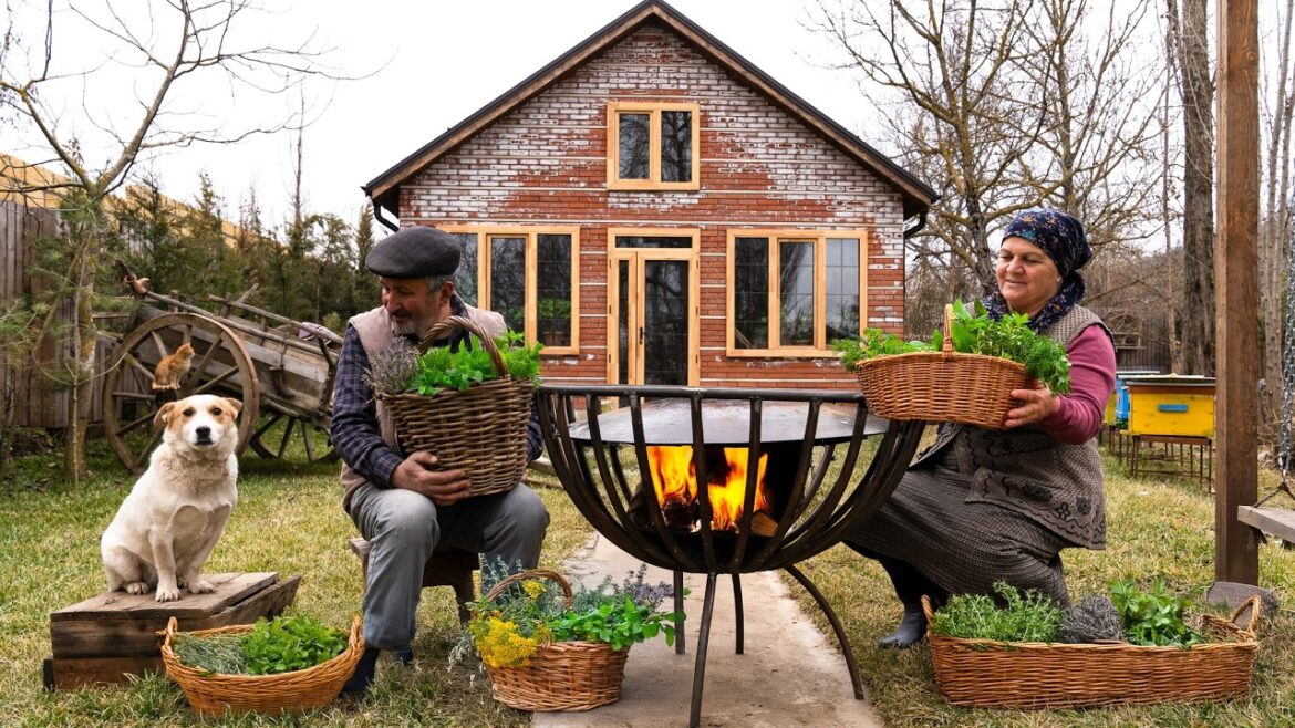 Cooking with Nature | Wild Edible Plants Made Easy Cooking with Nature | Wild Edible Plants Made Easy