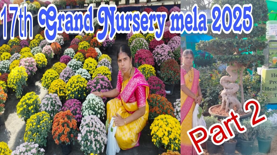 17th Grand Nursery Mela 2025, Hyderabad | Horticulture Expo, Necklace road #nurserymela #hyderabad