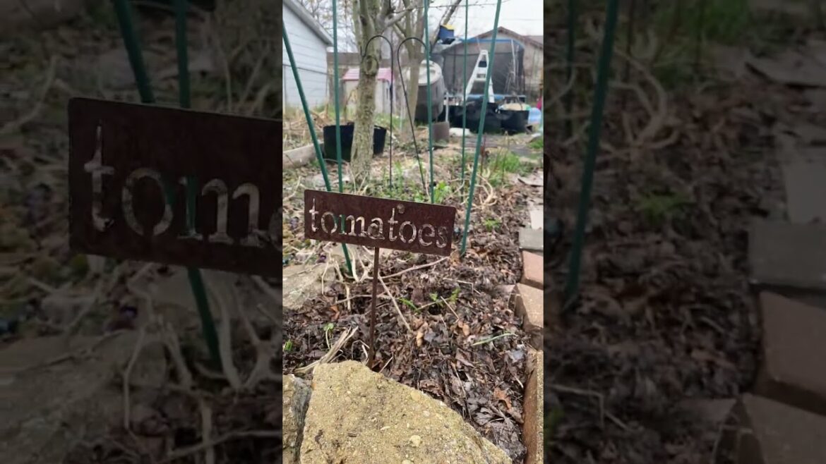 The Future of Gardening: A Zone 5 Update