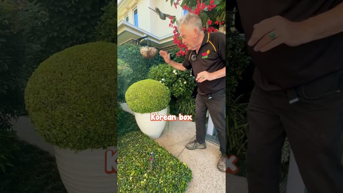 “One of the Strangest Combination of Plants” - Garden Tour.