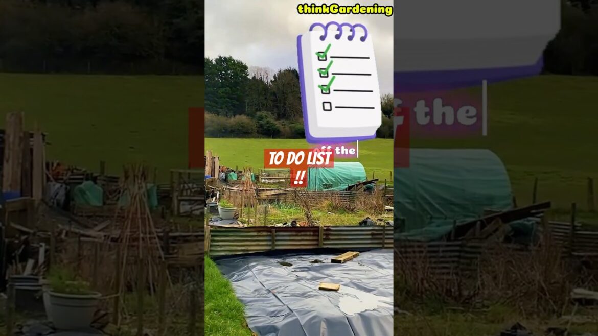 Allotment gardening to do list|allotment project|2025 gardening