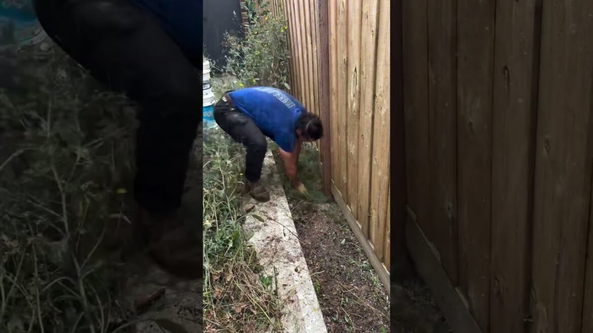 Quick Yard Cleanup 101 #YardCleanUp #GardeningTips #cleanspace #TrimmingTips #cleaning #backyard Quick Yard Cleanup 101 #YardCleanUp #GardeningTips #cleanspace #TrimmingTips #cleaning #backyard