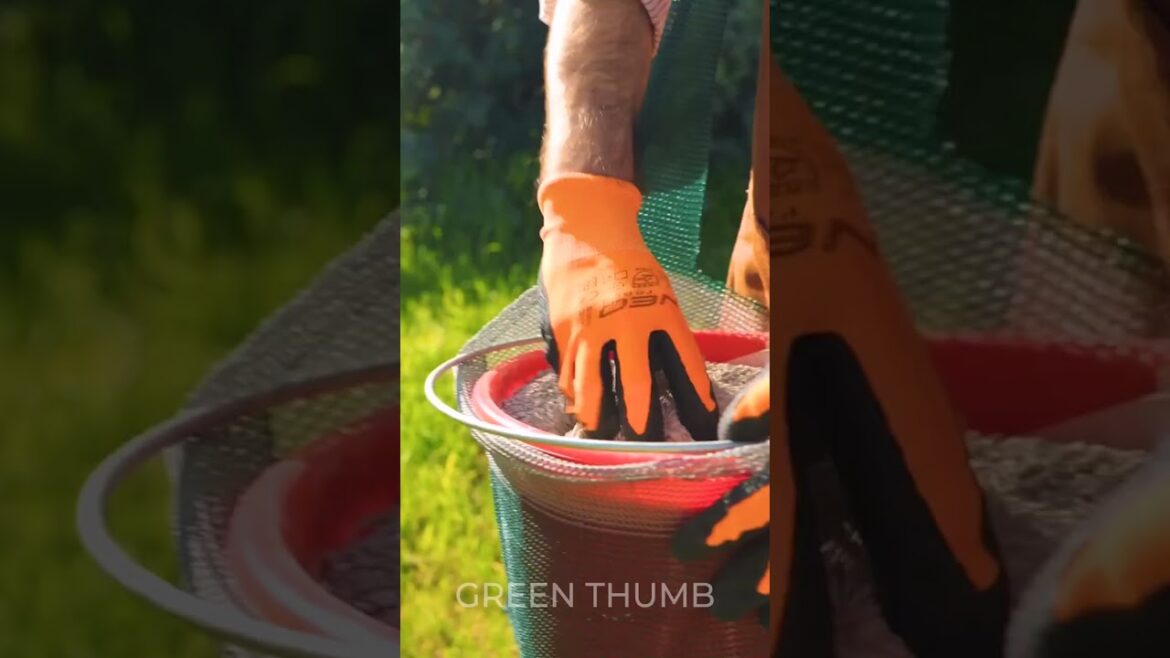 Save your Time during Harvesting and Gardening Routine! FREE DIY gadgets 💸 Save your Time during Harvesting and Gardening Routine! FREE DIY gadgets 💸