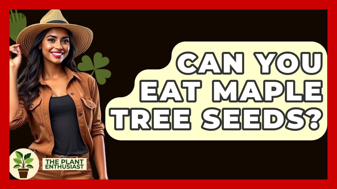 Can You Eat Maple Tree Seeds? – The Plant Enthusiast Can You Eat Maple Tree Seeds? - The Plant Enthusiast