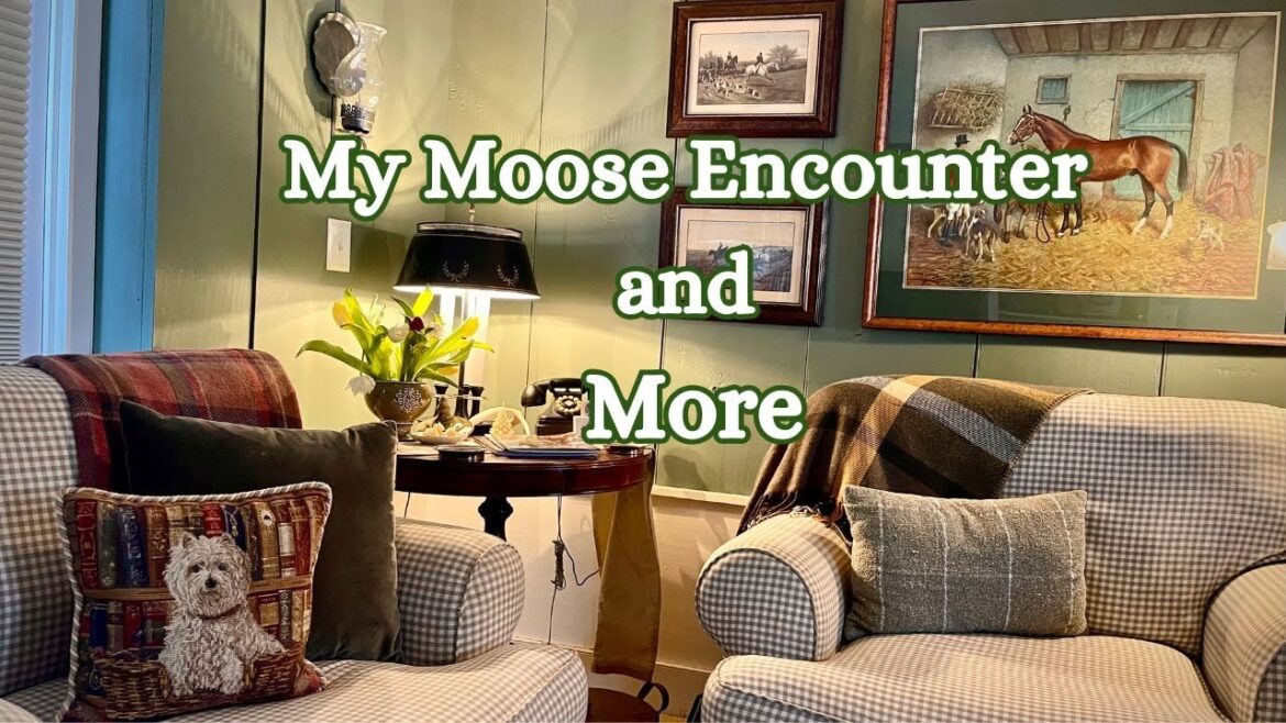 My Moose Experience, Candle Making Class, and  A Perennial Flower Garden in the Woods My Moose Experience, Candle Making Class, and  A Perennial Flower Garden in the Woods