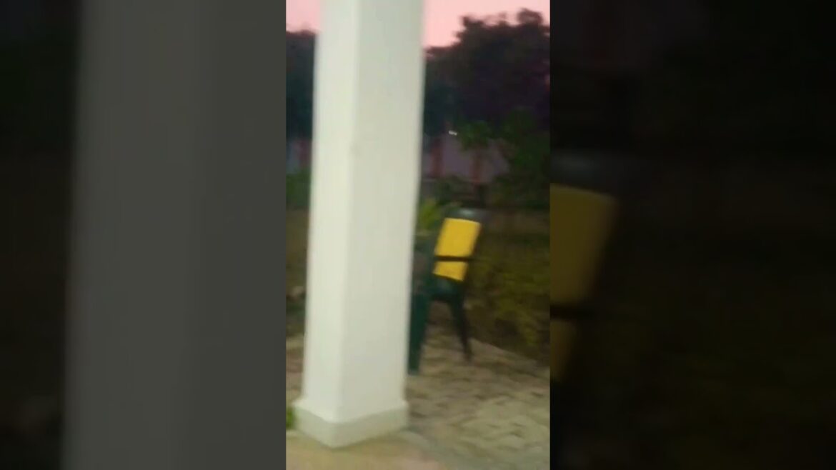 Garden supplies 🤟♈🙏#alakhniranjan #song #ytshorts #youtubeshorts #love