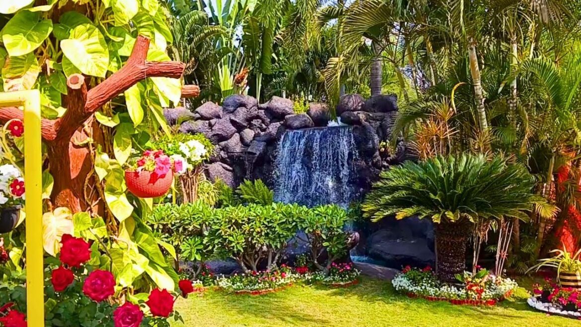 beautiful garden waterfall | waterfall in garden design | rose garden | seasonal blooms #garden