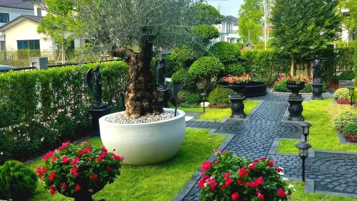 [Small Garden] ❤️Easy Front Yard Landscaping: Create a Gorgeous Curb Appeal with Minimal Effort💘