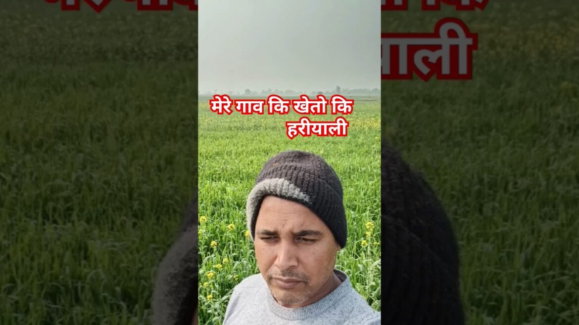 Kheto ki Hariyali🪴🌳#Farmer#villagefarming #agriculture
