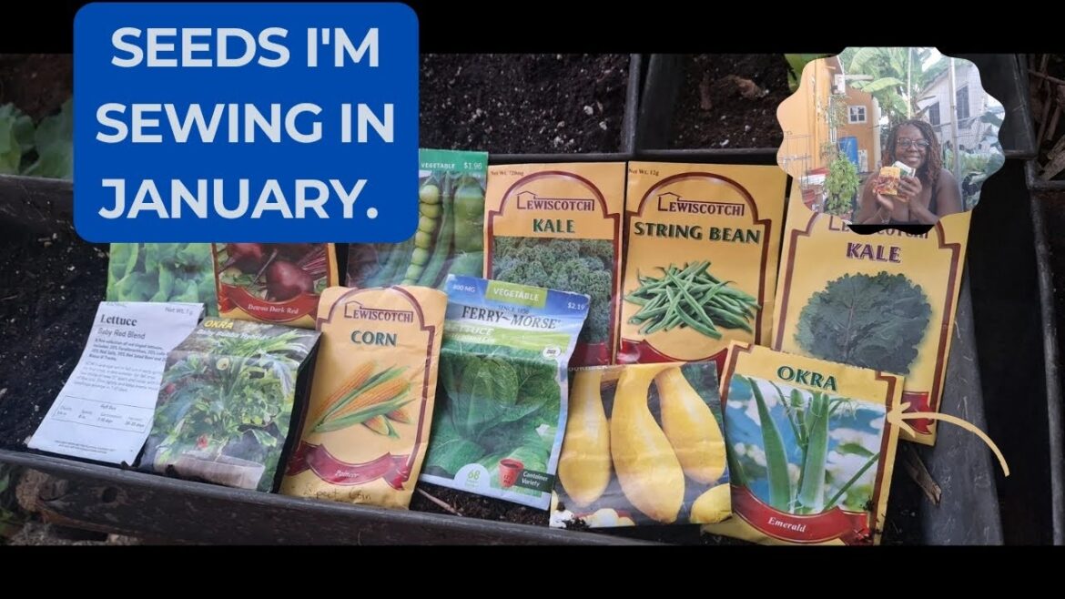 Growing More Food In My Container Garden For 2025!! #growfoodathome .