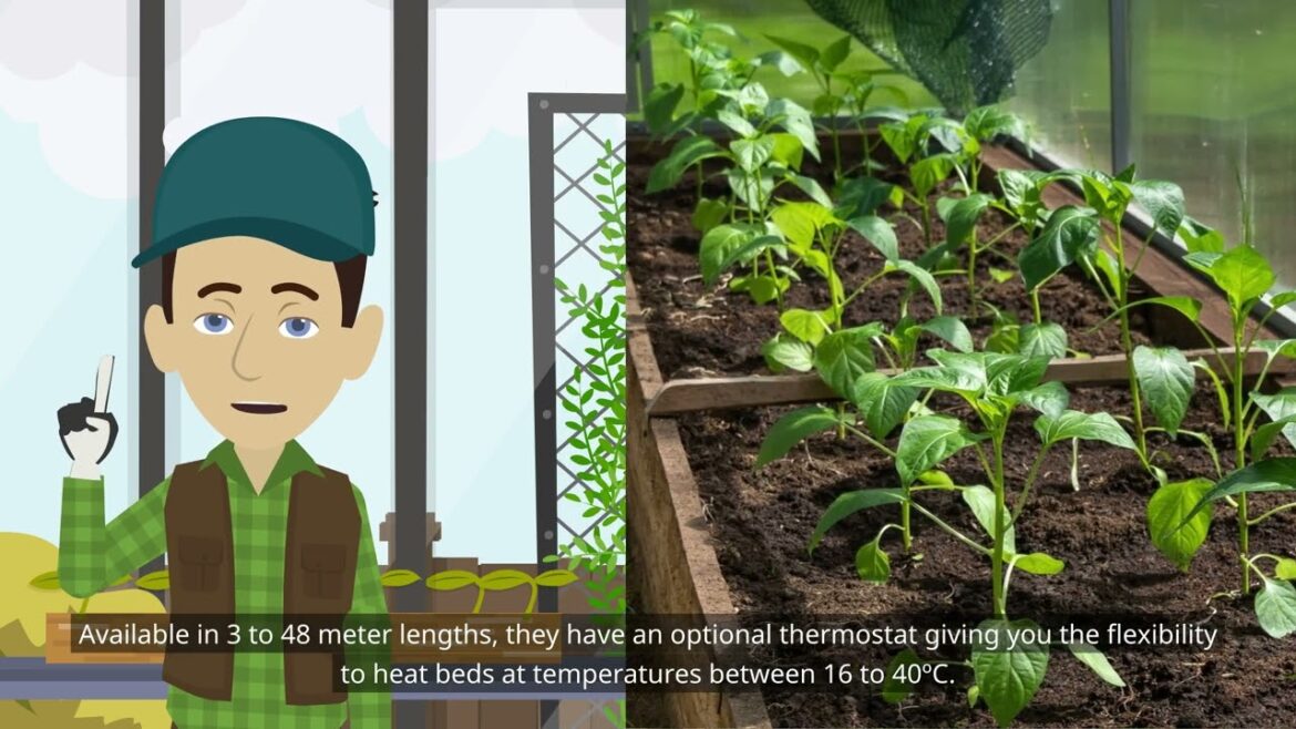 WHAT you need to know about choosing your soil warming cable